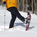 Showing off her new snowshoe